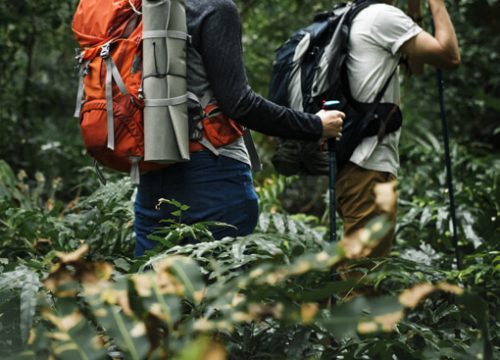Trekking 
